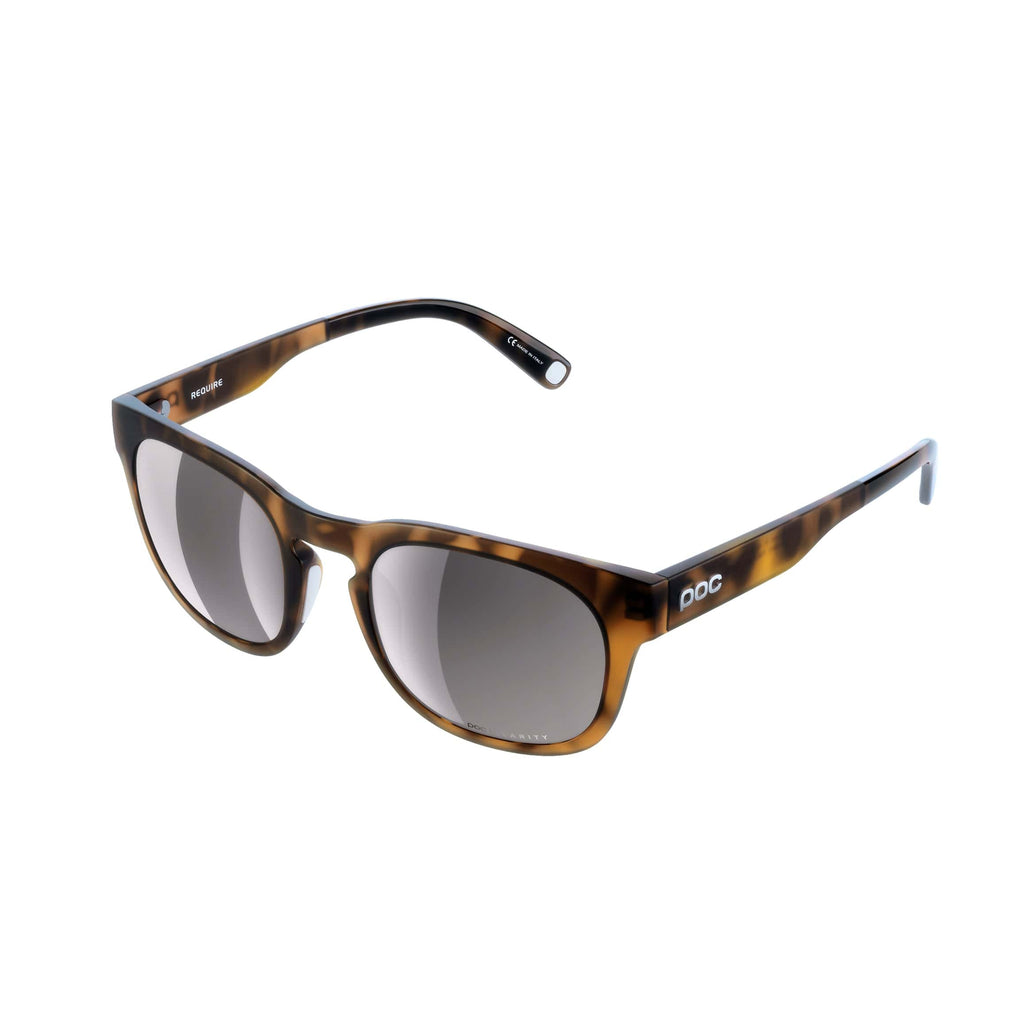 Tortoise Brown