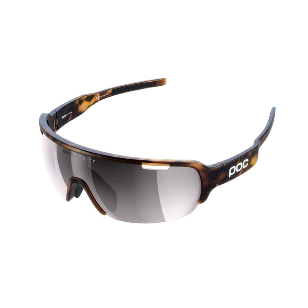 Tortoise Brown