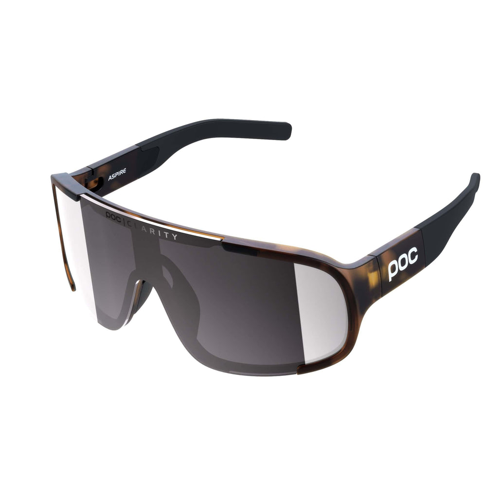 Tortoise Brown