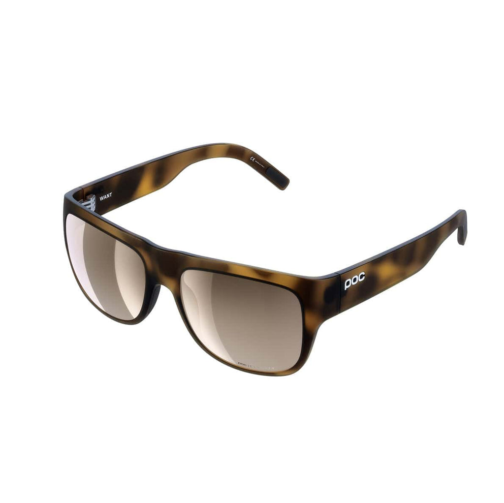 Tortoise Brown