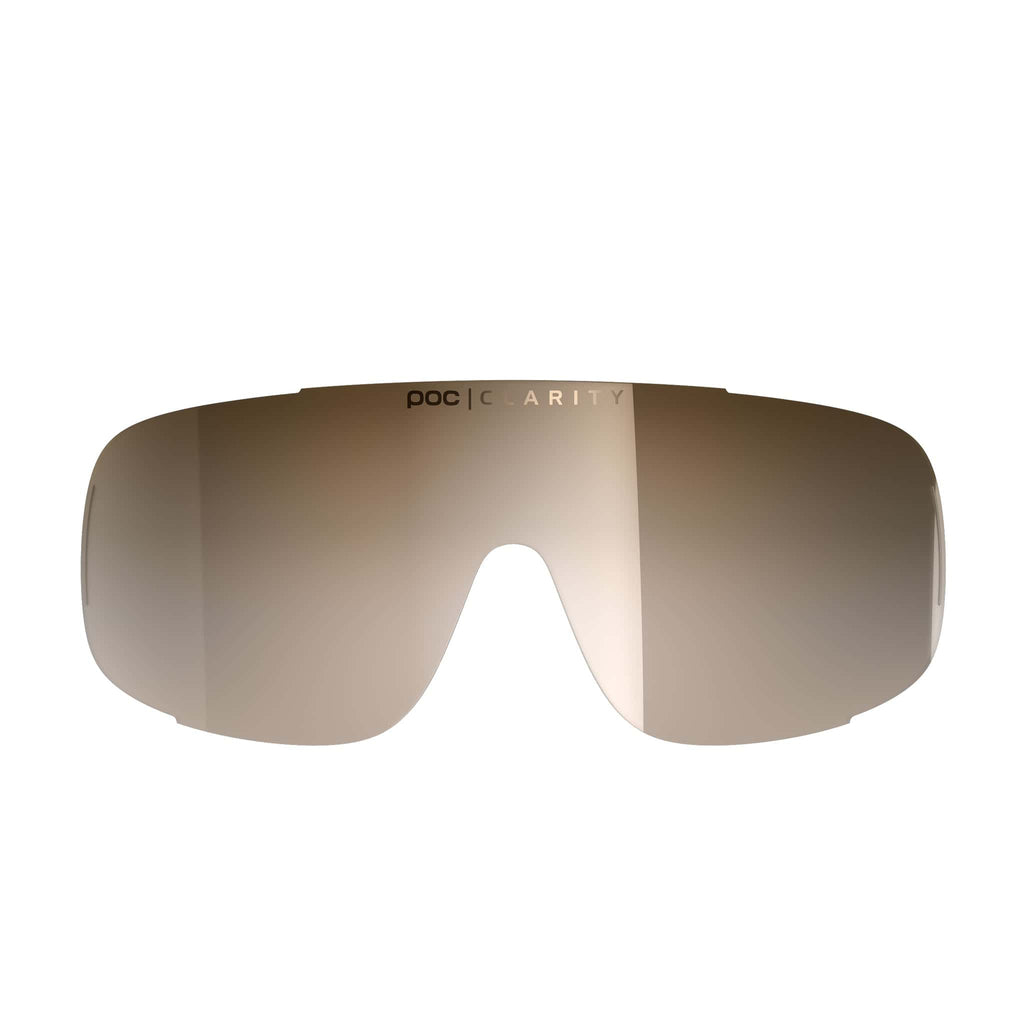 Brown/Silver Mirror
